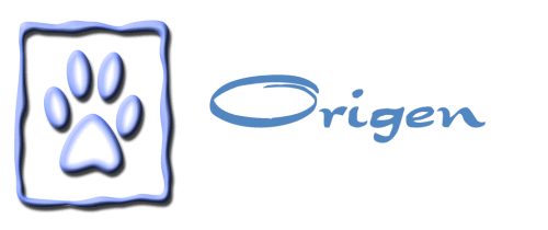 origen